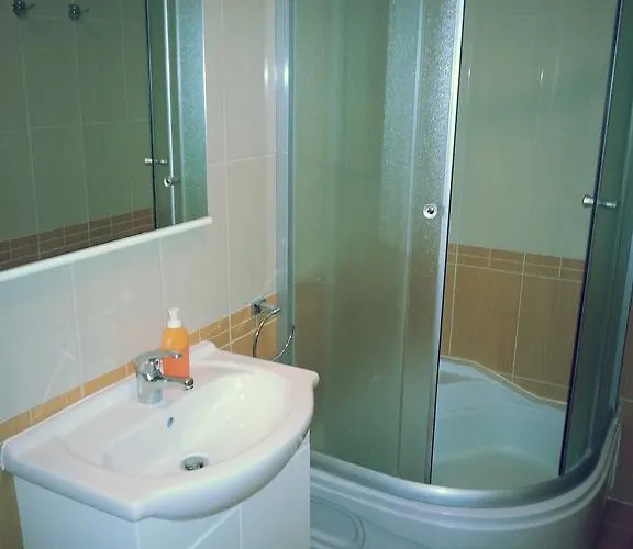 Huisdiervriedelijke Studio Apartman Kamelija Opatija