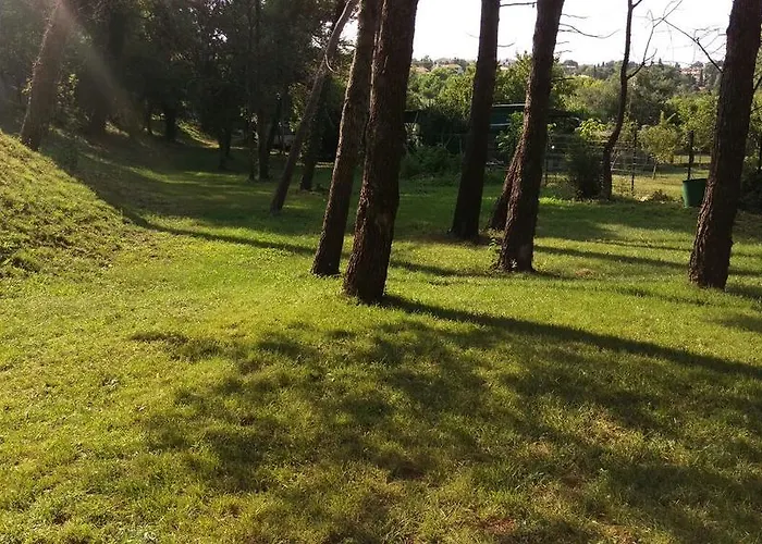 Ribarska Kuca Romana Premantura