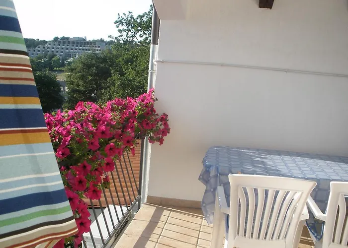 Pet friendly Apartments Timi Porec