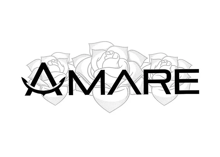 Apartment Amare Rovinj acceptant les animaux
