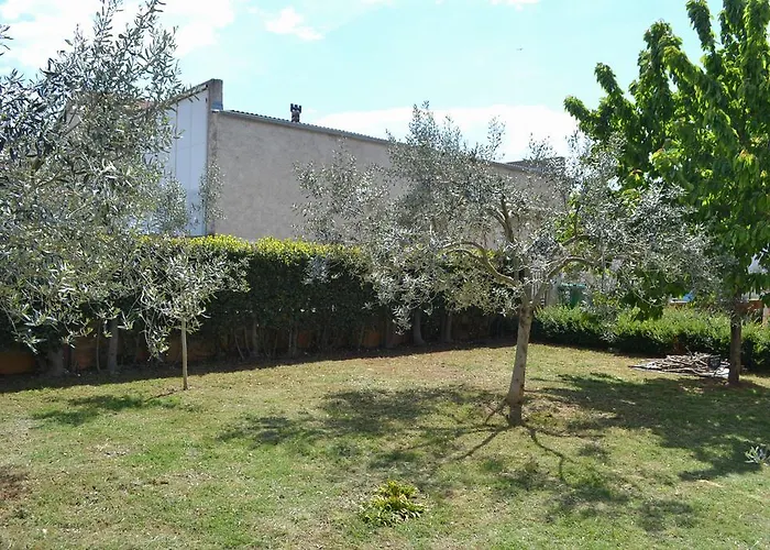 Apartman Din-Pula acceptant les animaux
