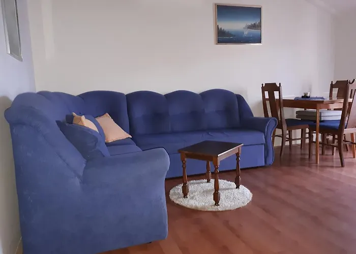 Apartments Vidakovic Rovigno che accetta animali