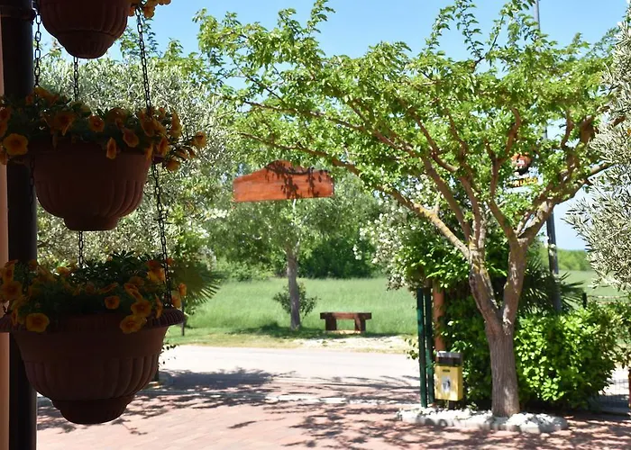 Guest House Fortuna Novigrad Istria