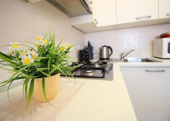 Huisdiervriedelijke Apartment Brigite Rovinj