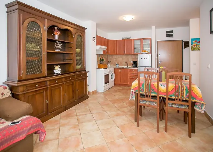 Apartment Morena Novigrad Istria che accetta animali