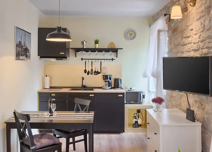 Pet friendly Luxury Apartment Fabris Rovinj