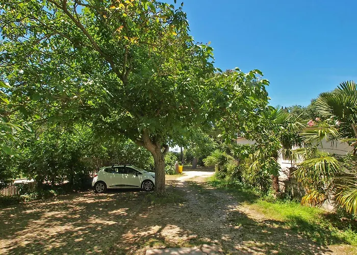 Huisdiervriedelijke Apartments Rovinj 820