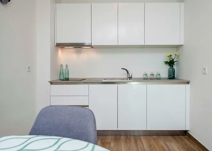 Apartment Loki Rovinj acceptant les animaux