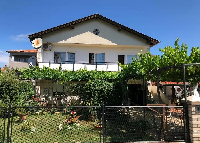 Pet friendly Davor Apartment Pula