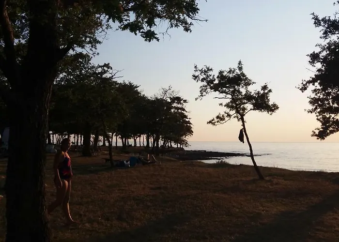 Studio apartment Doris Porec