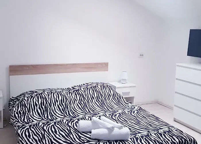 Pet friendly David 3 Apartment Pula
