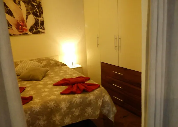 Apartment Oaza Rovinj acceptant les animaux