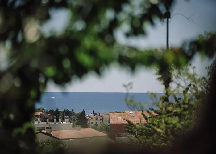 Belvedere Holidays Novigrad Istria